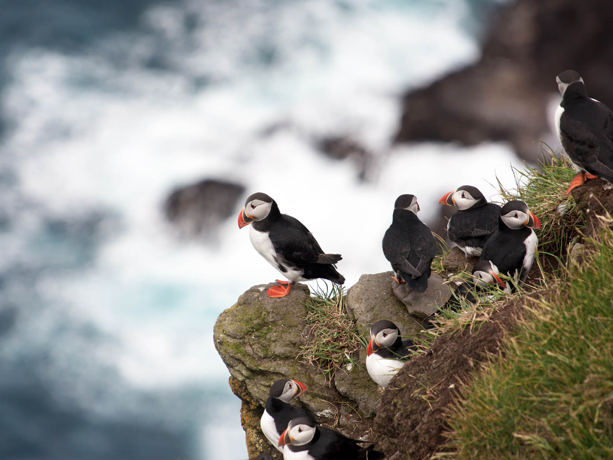 Faroe Islands — windswept Atlantic coastline and steep green slopes