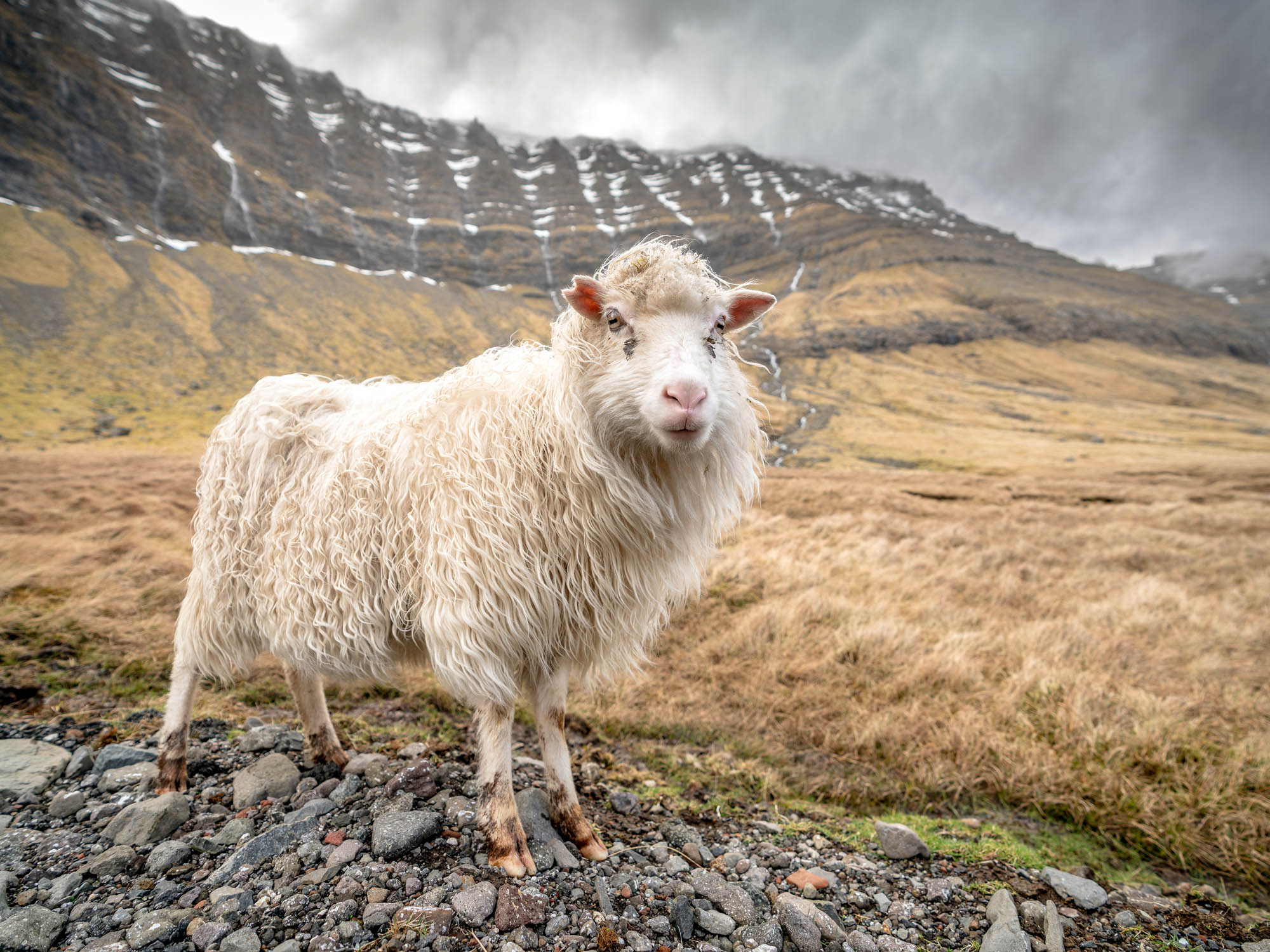 Faroe Islands — remote North Atlantic island landscape