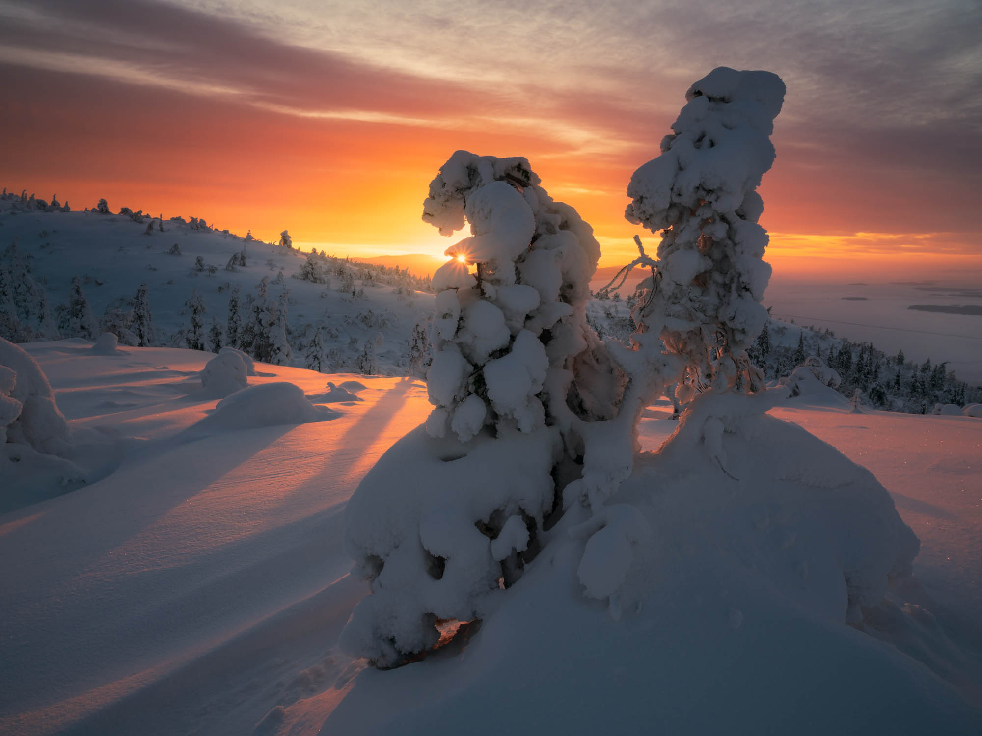 Norwegian Adventures