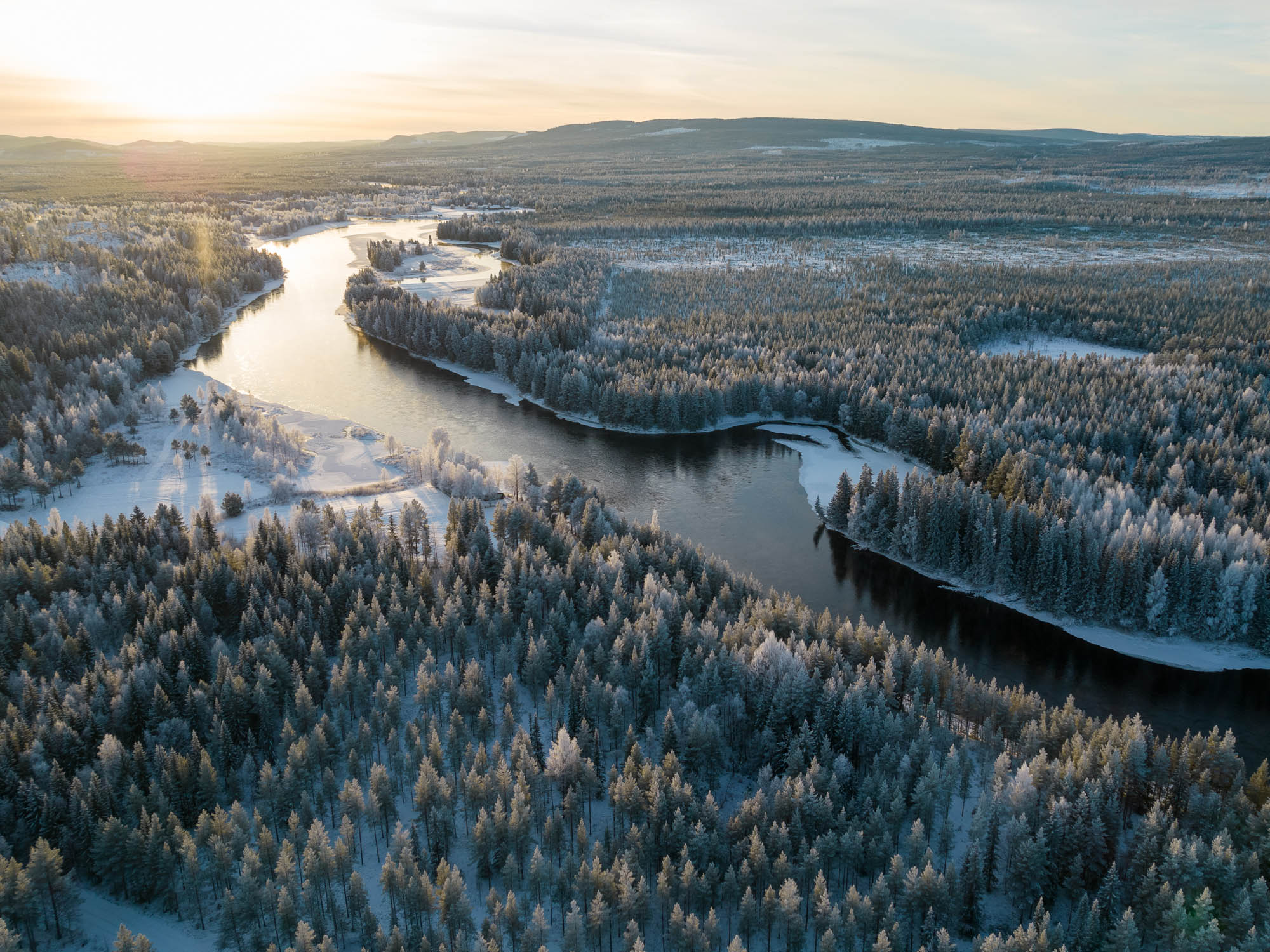 Snow-laden trees glowing in the rose and amber light of a Finnish Lapland sunrise