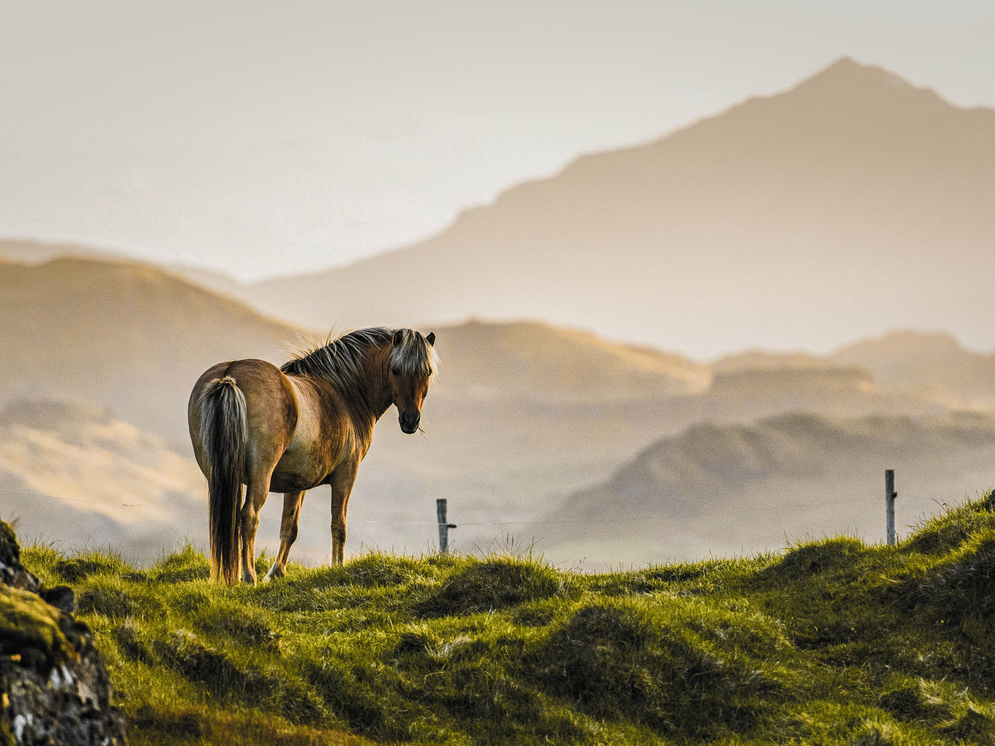Iceland — sweeping volcanic terrain under an Arctic sky
