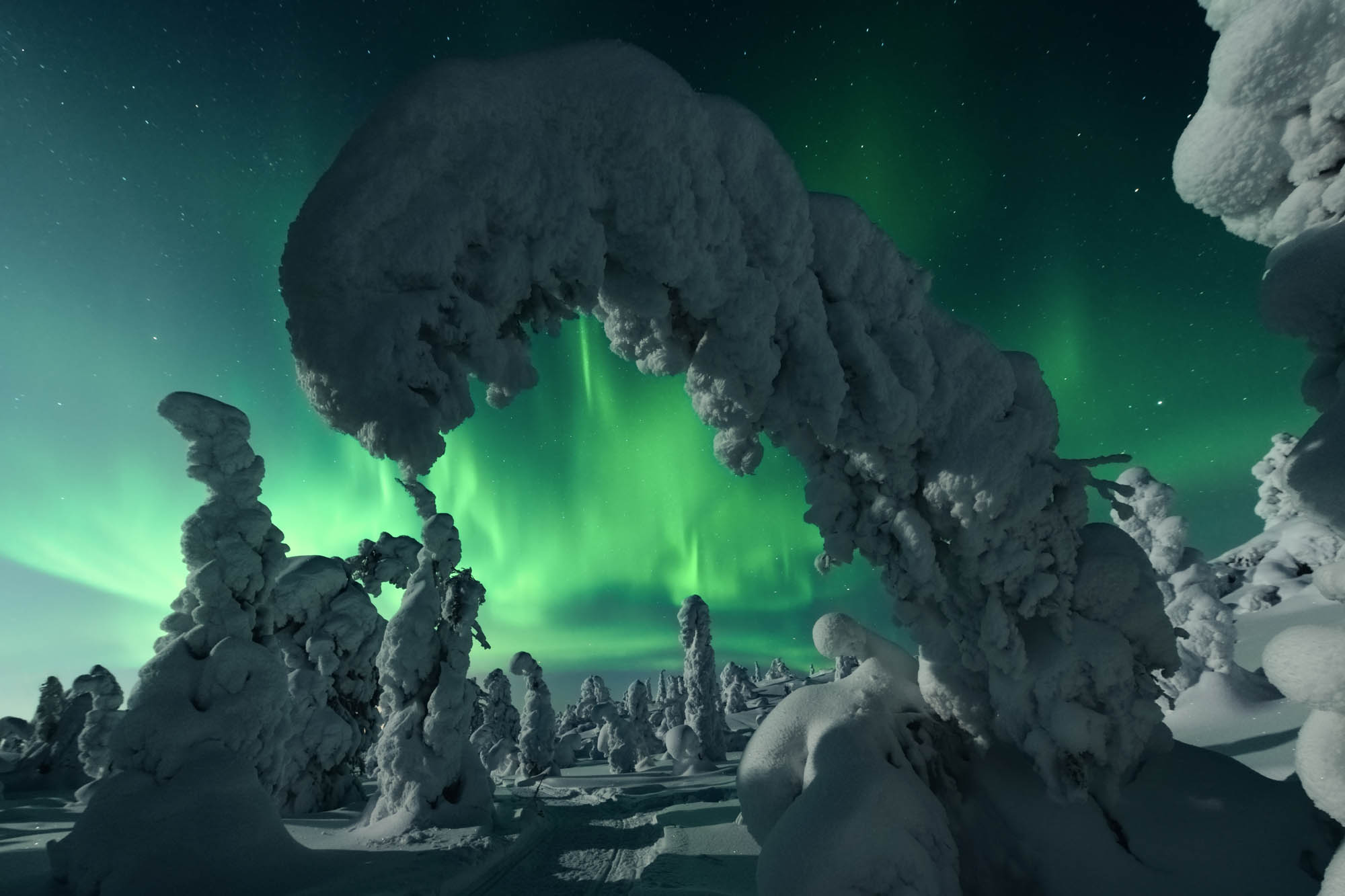 Aurora borealis dancing across the Arctic sky — a signature Norwegian Adventures northern lights experience