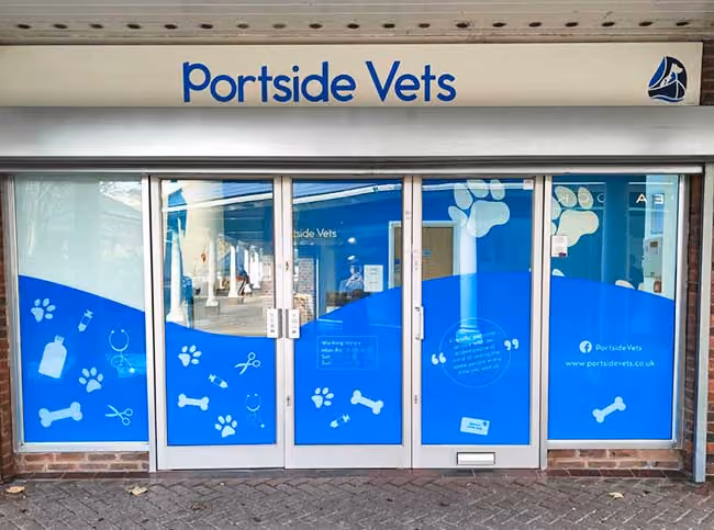 Shop window graphics – will attract new customers