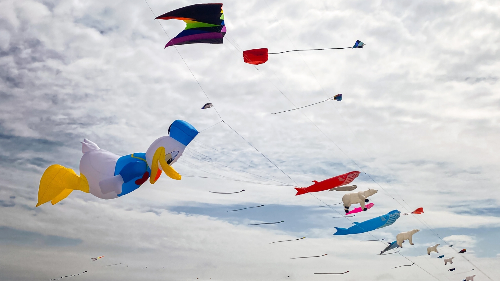 Fanø Dragefestival