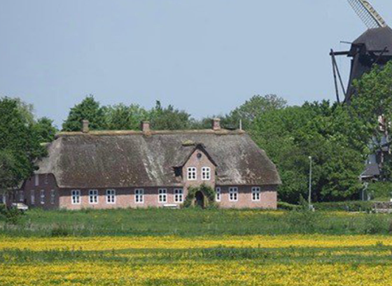 De gamle huse i Højer