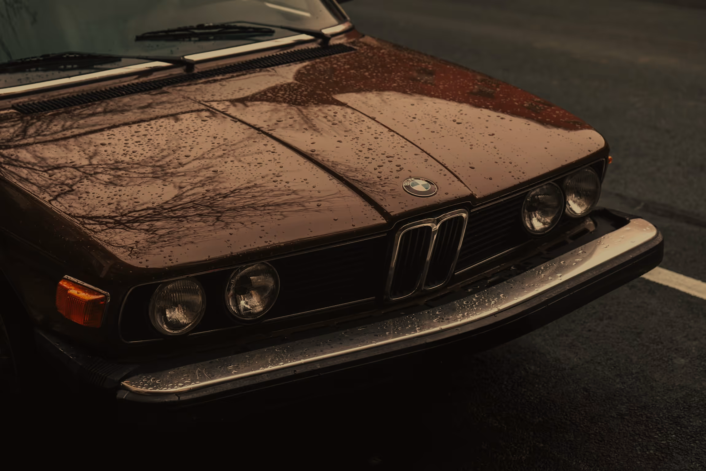 Wes - Webflow template for musicians