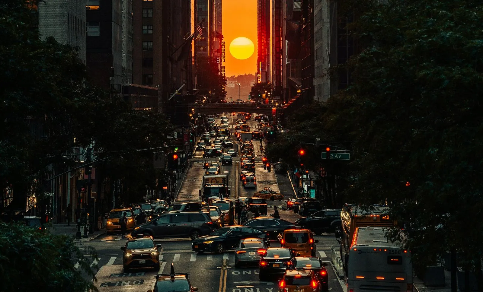 Webflow template for Musicians