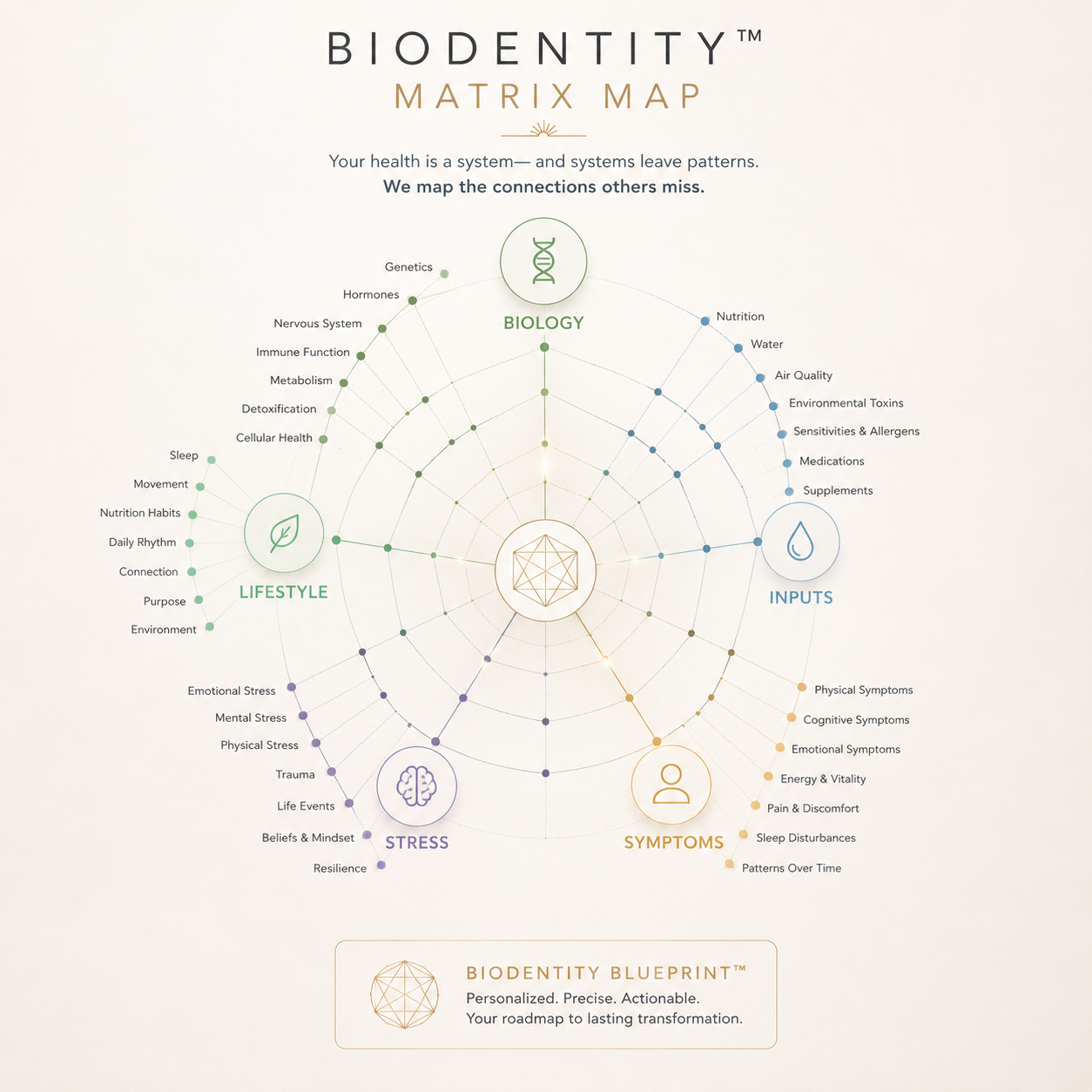 Where your patterns make sense Biodentity visual