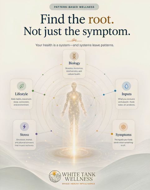 Biodentity Method mapping visual