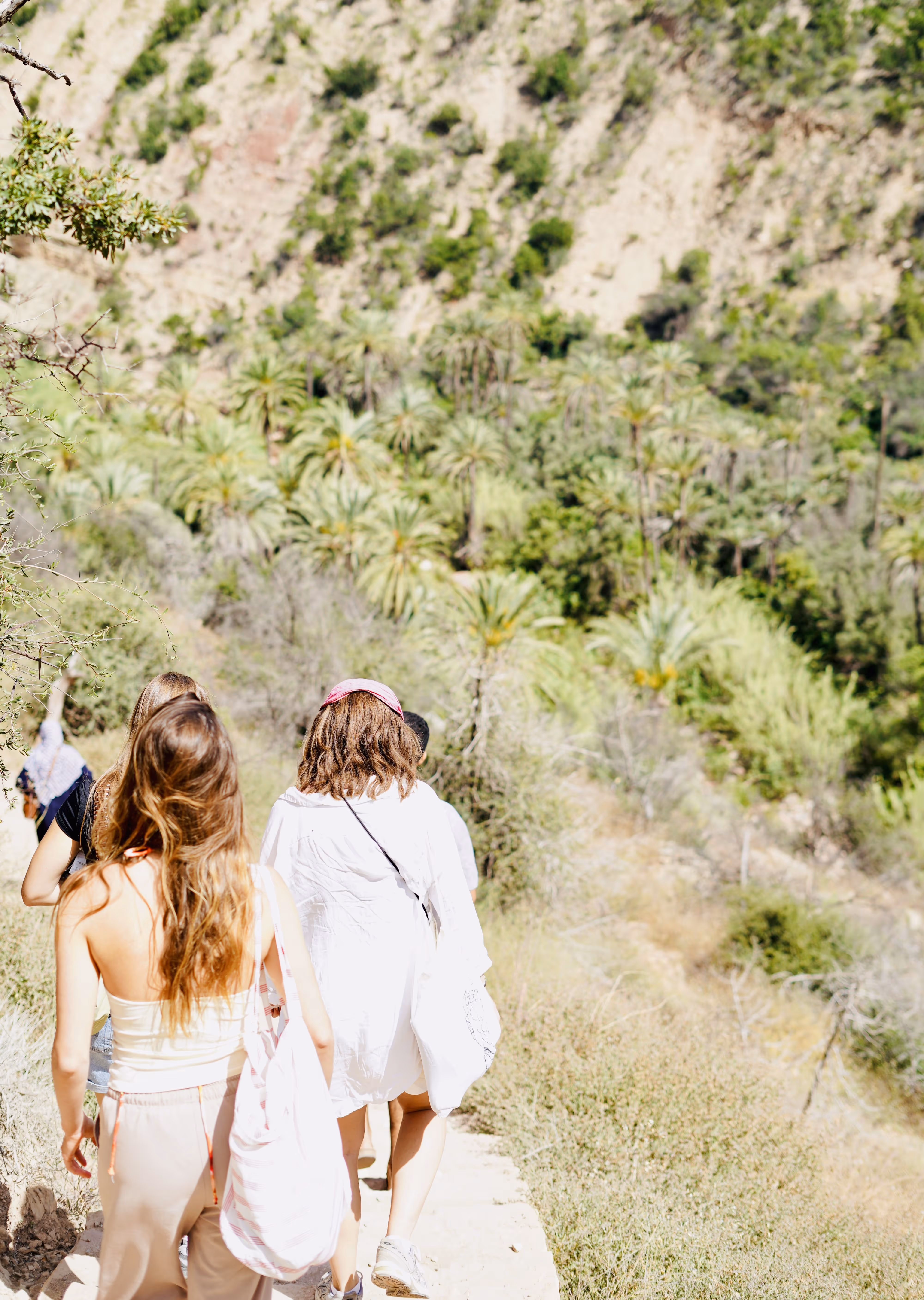 Group of people walking on a sunlit dirt path surrounded by green palm trees and hills.