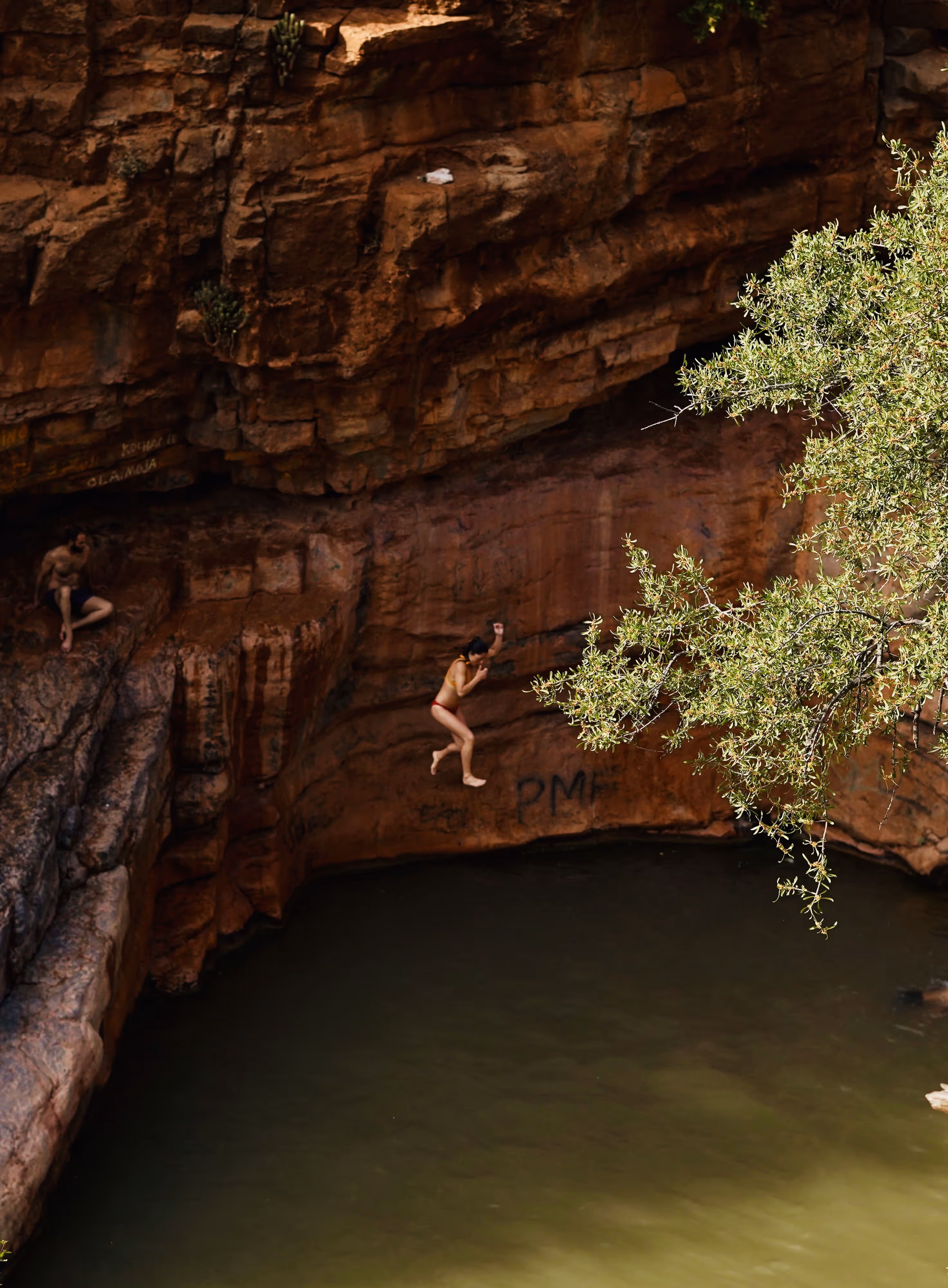 Person mid-air jumping off red rock cliff into green water below by leafy tree branch.
