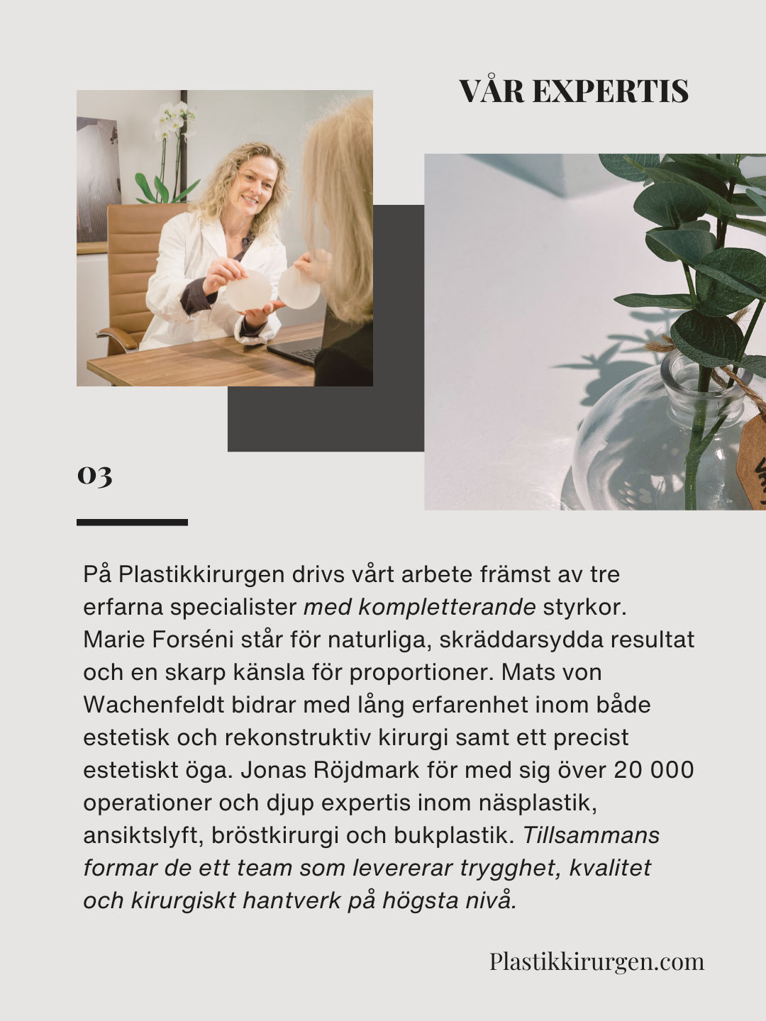 Plastikkirurgen Stockholm vår expertis