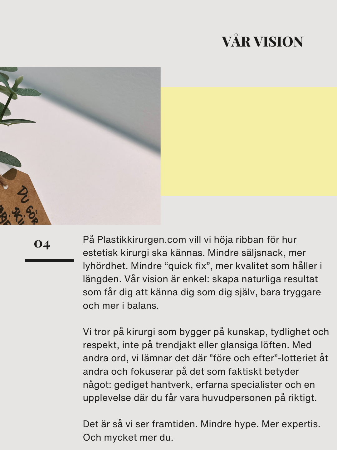 Plastikkirurgen Stockholm vår vision