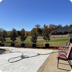 Row of small trees in pots lined on a flat concrete area with chairs and a hose nearby under clear sky.