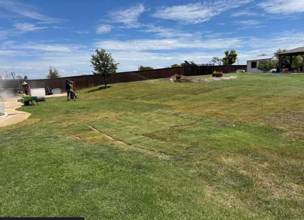 Landscaped front yard