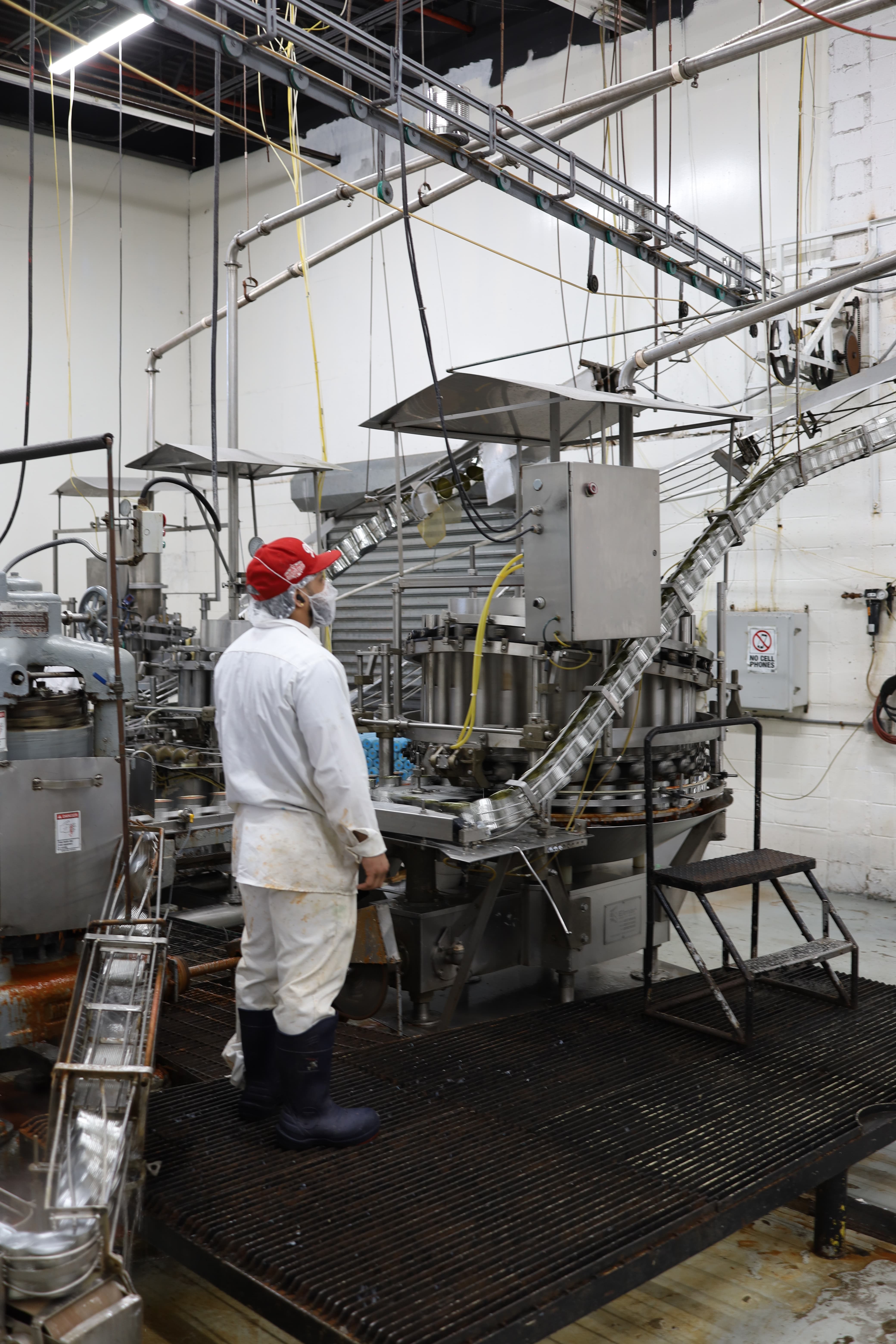 Worker in white uniform and red cap inspecting machinery in a food processing plant.