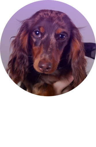 Foto von Otto Lako