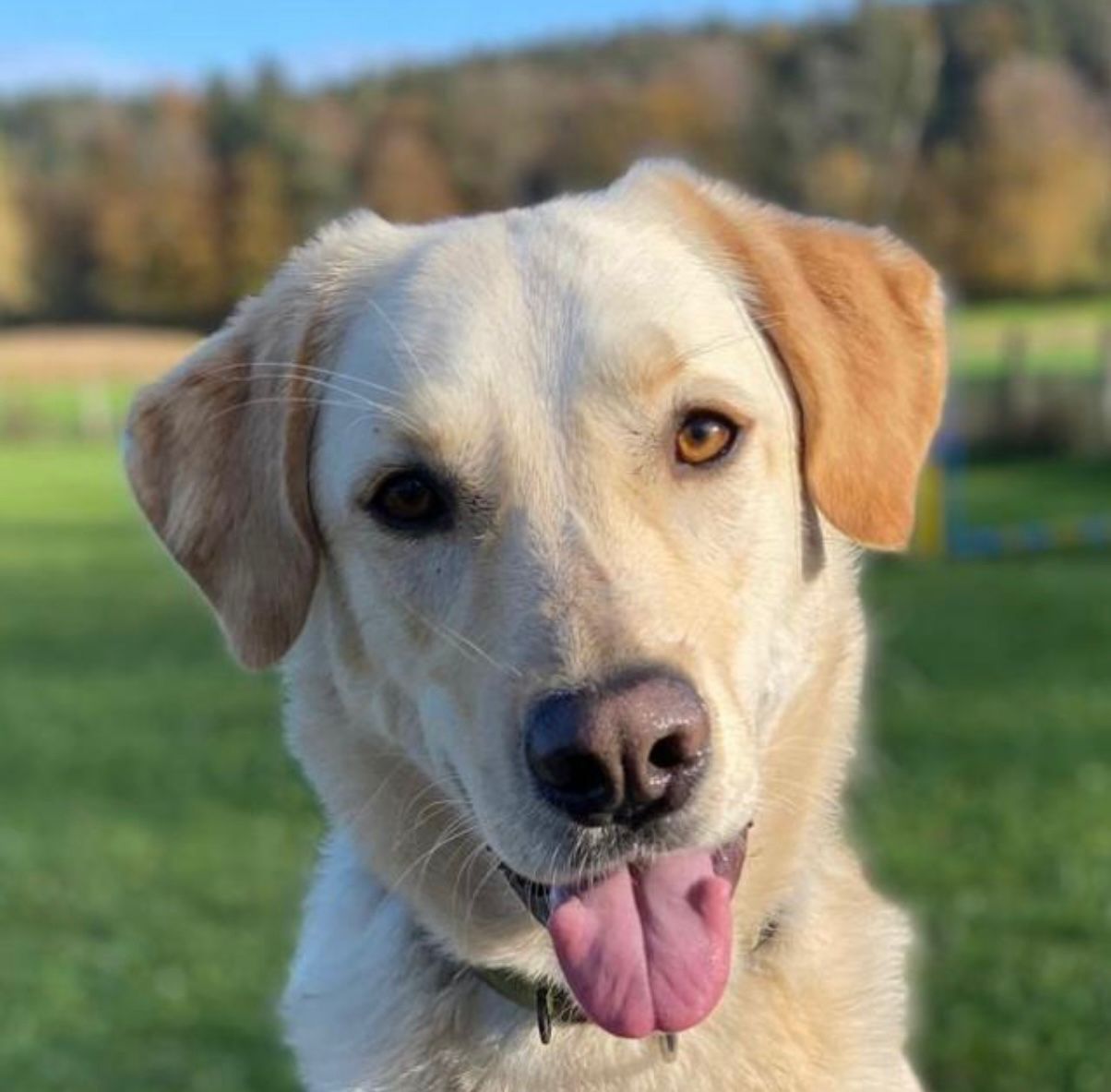 image of an expert consultant for blockchain and cryptocurrency [headshot]