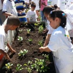 No “Vacation” for Green Bronx Machine This Summer