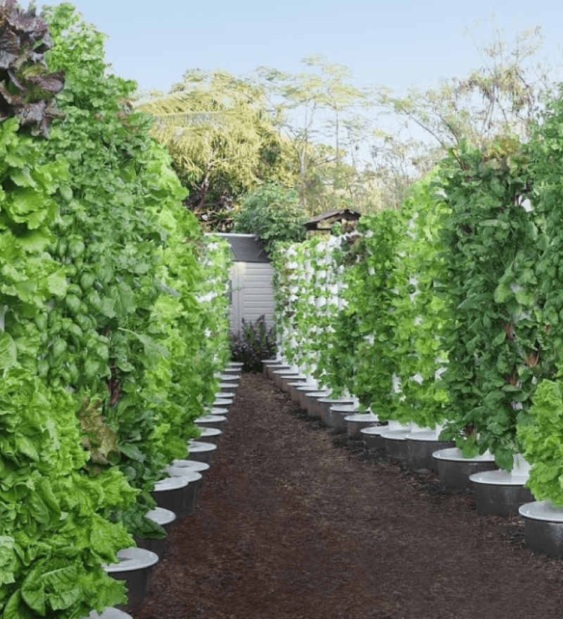 Tower Garden Farm