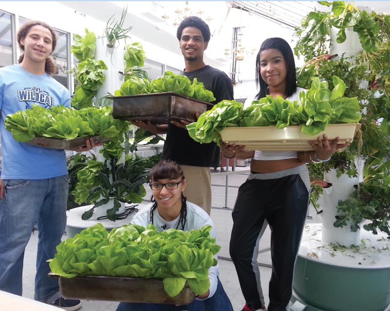 A classroom transformed into an edible laboratory