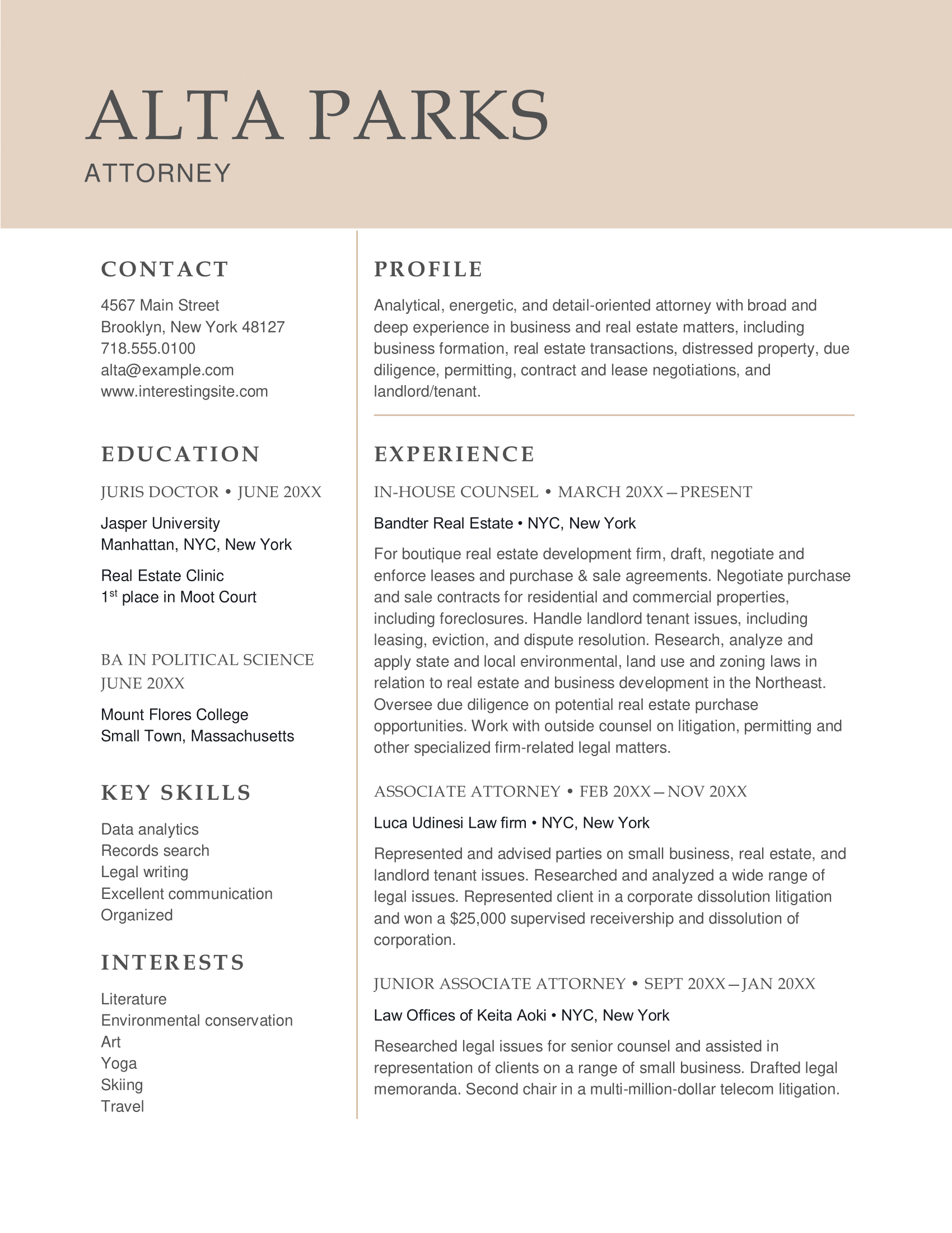 Professional resume template