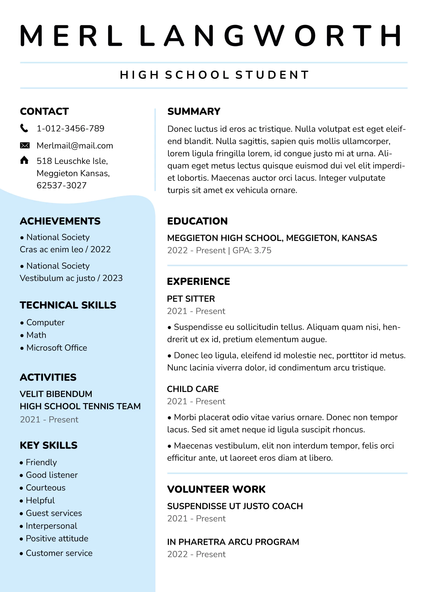 University Student Resume