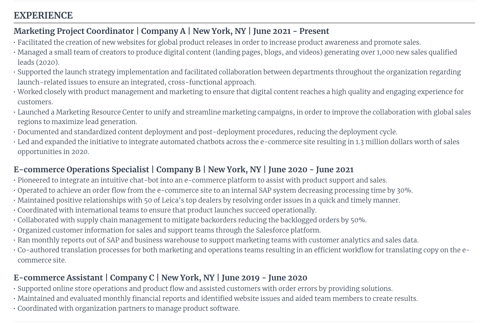 Senior project manager resume work experience section example