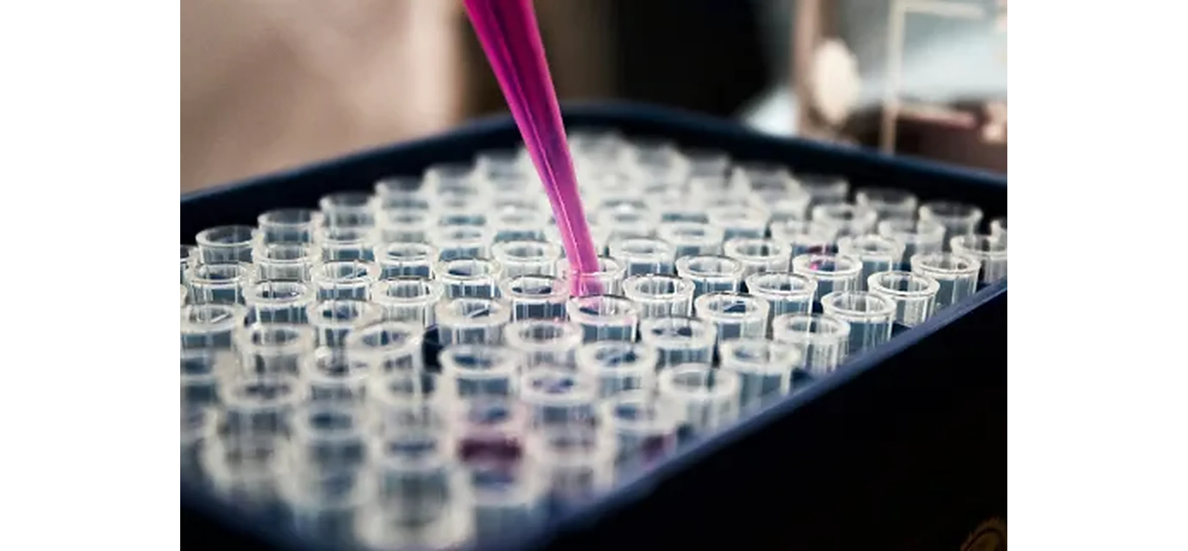 A pink pipette dispenses liquid into a clear microtube in a laboratory rack.