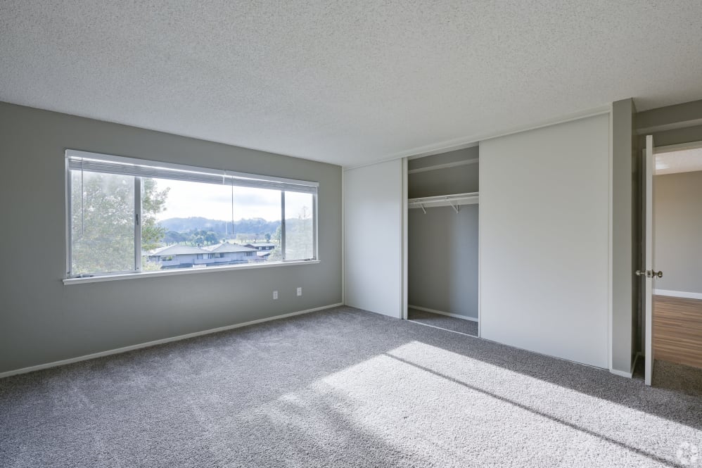 Empty bedroom with carpet