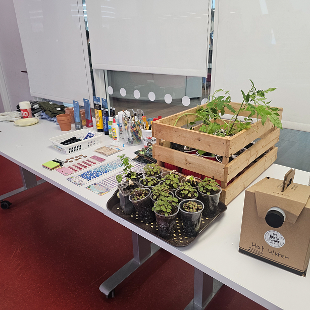 Table with small plant pots, a wooden crate with tomato plants, art supplies, and a box labeled hot water.