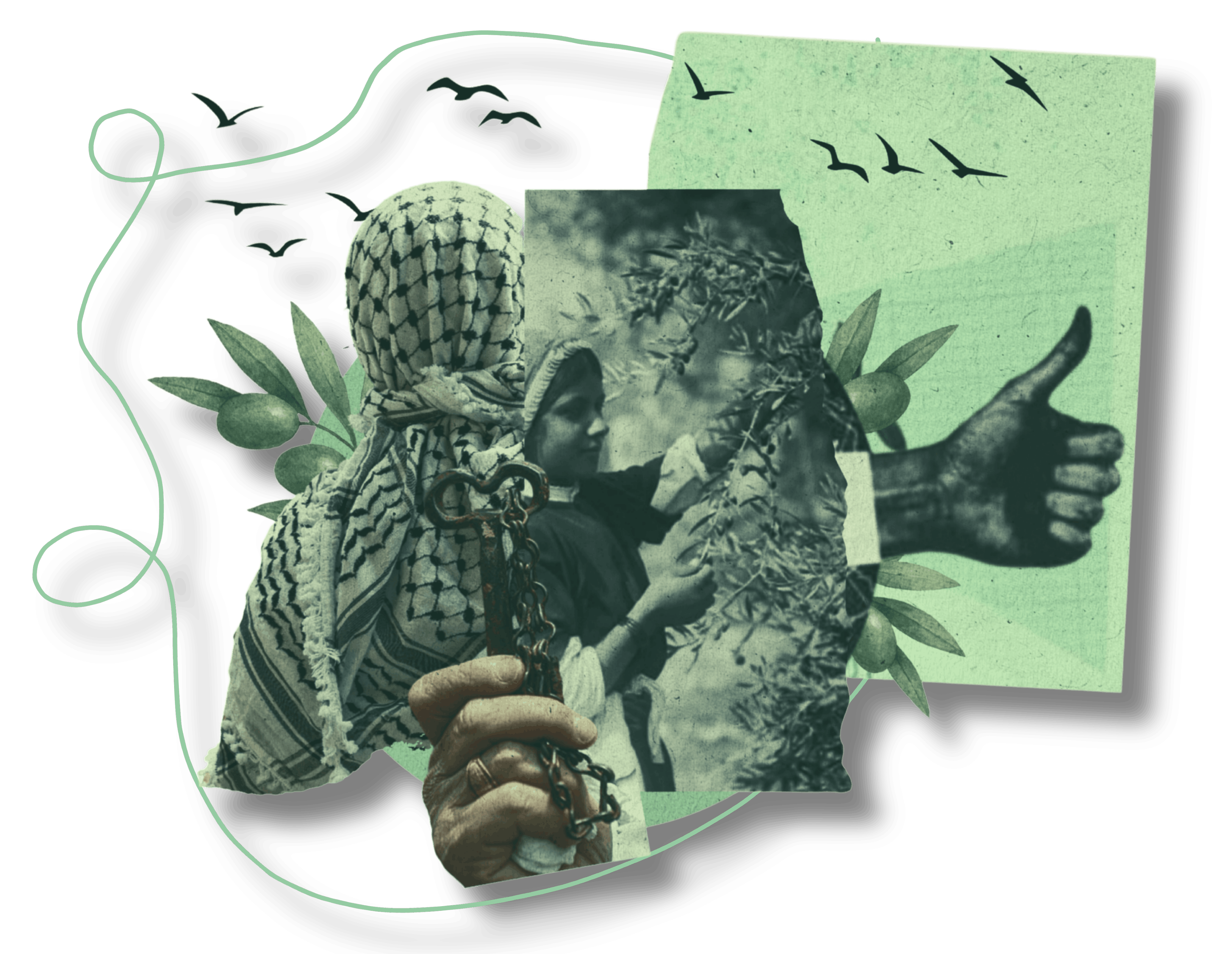 Collage featuring a person in a keffiyeh holding an old key, a child reaching for olive tree branches, a thumbs-up hand, and olive leaves with birds flying in the background.