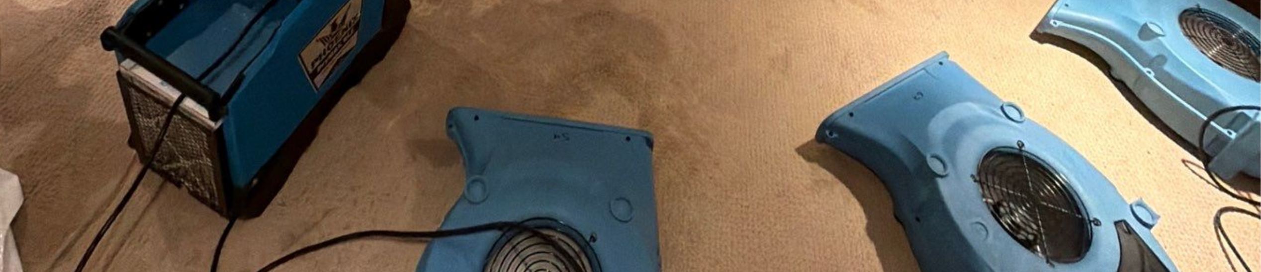 Basement Water Damage Cleanup & Structural Drying