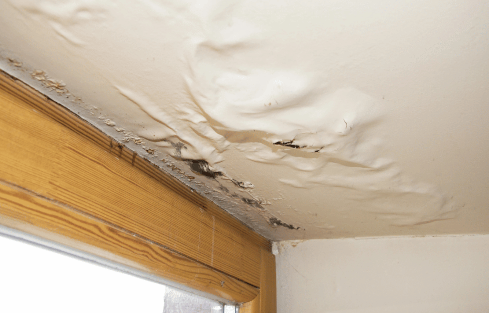 Residential Attic Leak Repair in Mesa, AZ