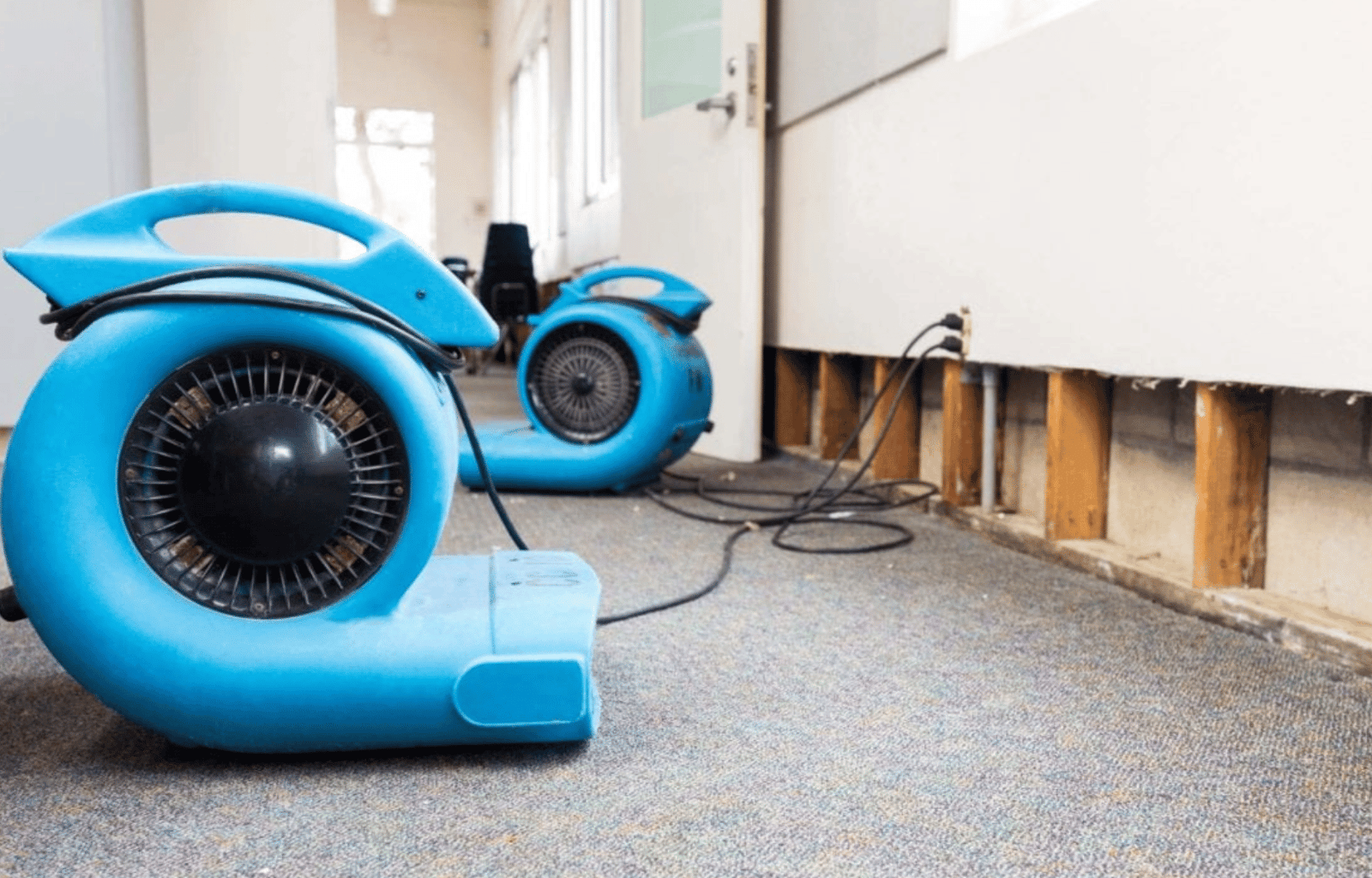 Residential Dehumidification & Drying in Mesa, AZ