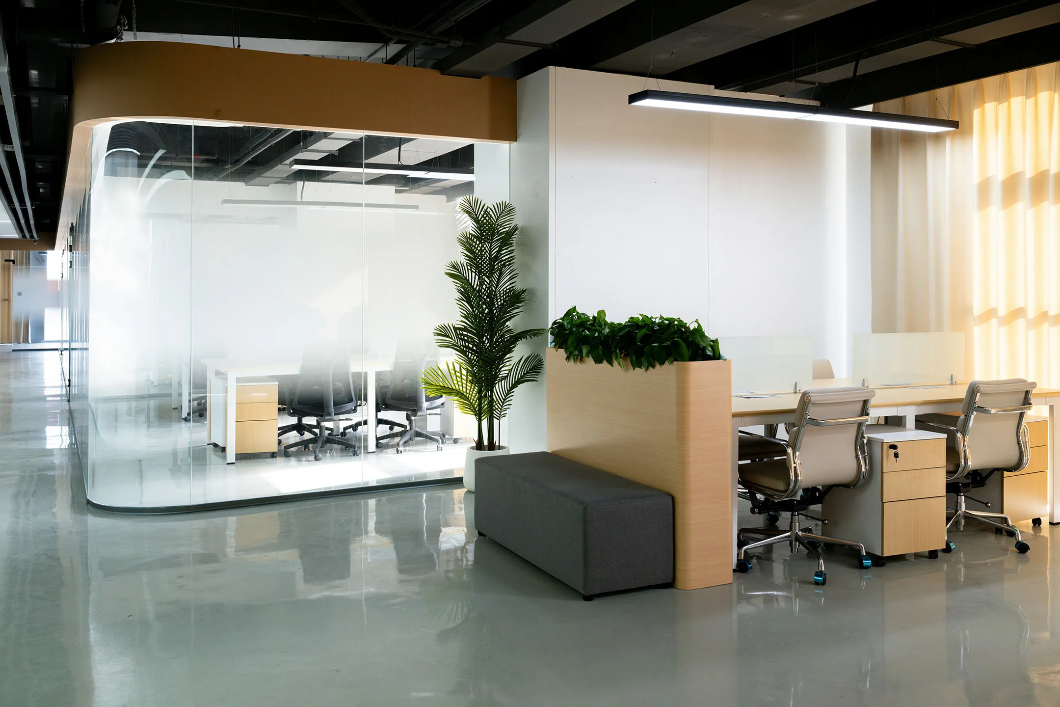 Modern office interior with glass-enclosed meeting room, workstation desks with chairs, indoor plants, and soft lighting.
