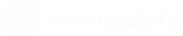 numtech logo