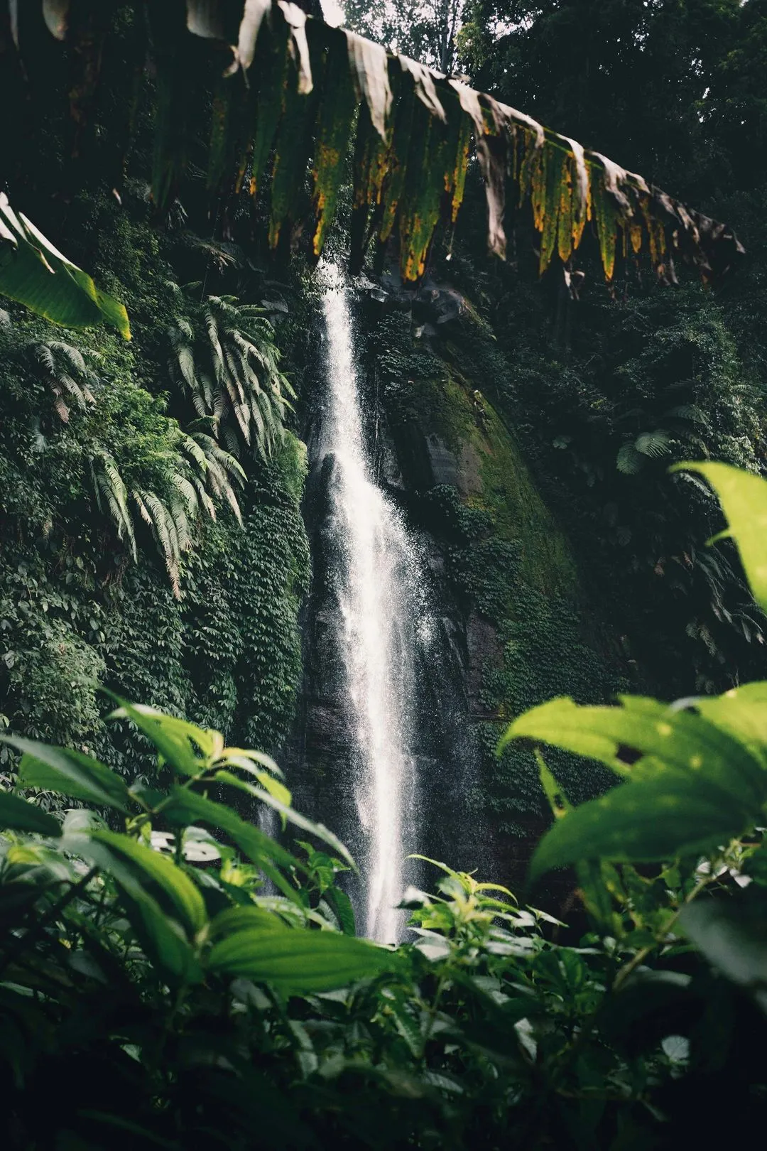 Waterfall - Ubud