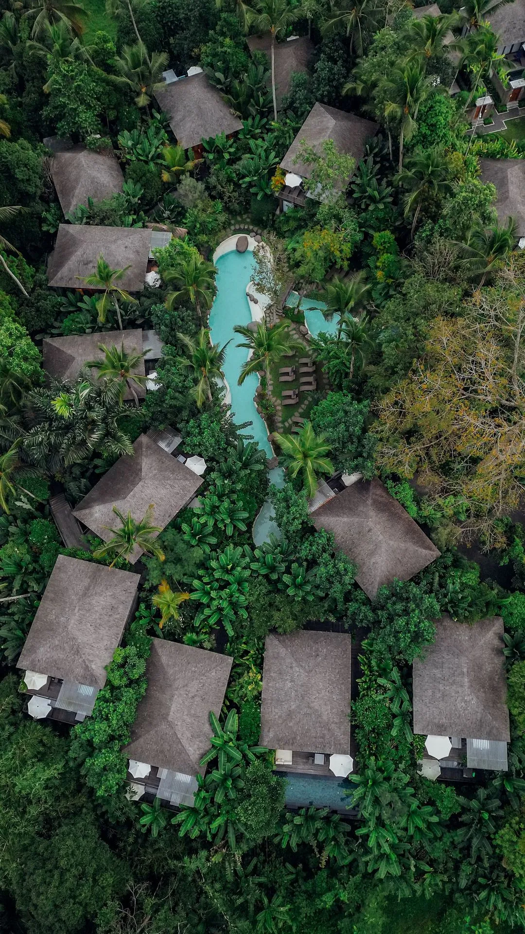Ubud event