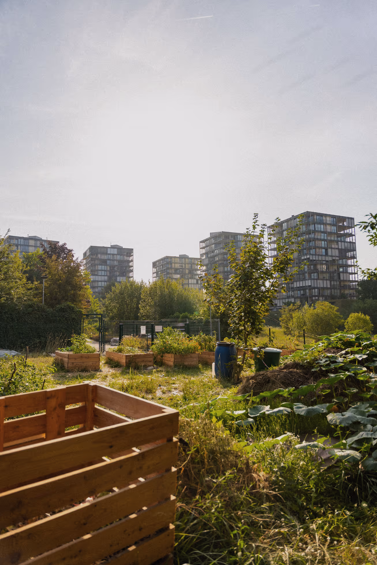 Urbaner Gemeinschaftsgarten mit Hochbeeten vor modernen Wohnhochhäusern.