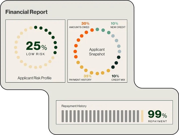 Financial report showing 25% low risk in applicant risk profile, applicant snapshot with 30% amounts owed, 35% payment history, 10% new credit, 10% credit mix, and 99% repayment history.