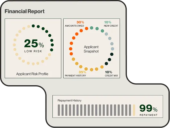 Financial report showing 25% low risk in applicant risk profile, applicant snapshot with 30% amounts owed, 35% payment history, 10% new credit, 10% credit mix, and 99% repayment history.
