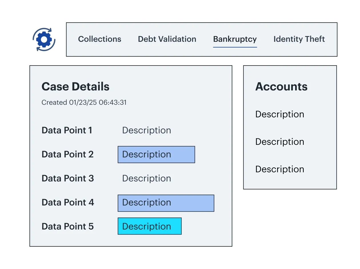User interface showing Bankruptcy tab with sections for Case Details, including five data points with descriptions highlighted in red and green, and an Accounts section with three descriptions.