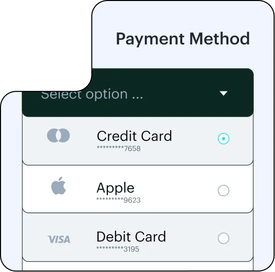 Payment method options showing selected credit card and unselected Apple and debit card options.