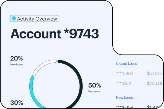Account activity chart showing 20% new loans, 30% amount owed, and 50% payments for account ending 9743.