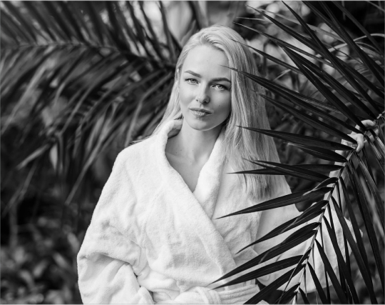 Portfolio Gallery Image