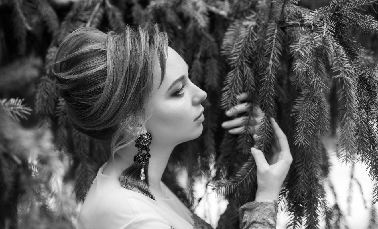 Portfolio Details Image