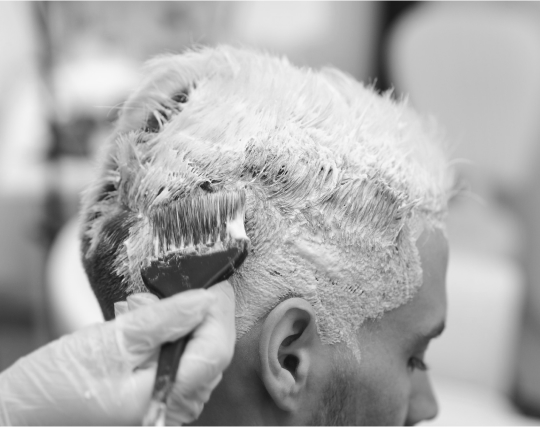 Portfolio Gallery Image