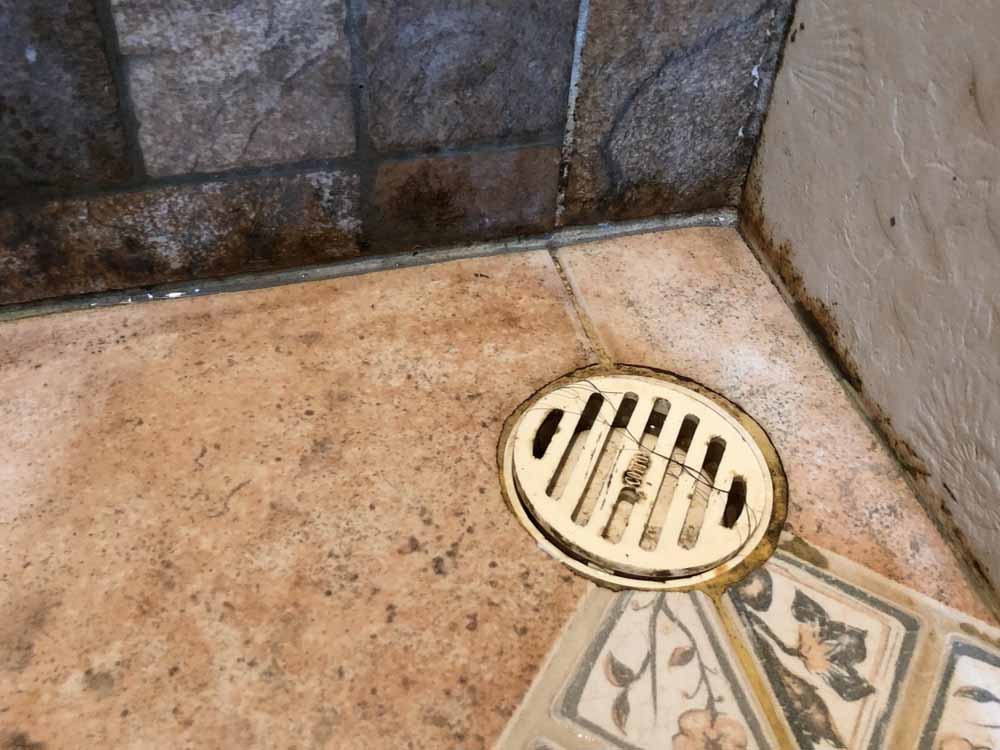 Watch Out for These Plumbing Issues That Prompt Mold Growth in Your Home