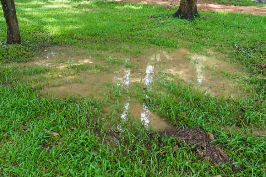 Is Your Sewer Line Clogged?